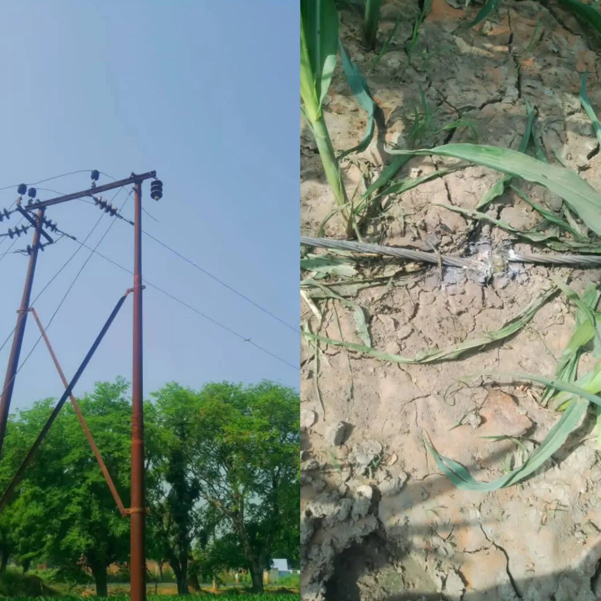 बिजली कटौती से ग्रामीण क्षेत्र बेहाल, 5 दिन से रातभर गुल रह रही सप्लाई; उपभोक्ताओं में आक्रोश।