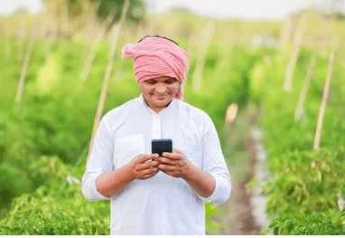 10 मई तक कराएं ऑनलाइन बुकिंग, तभी मिलेगा अनुदानित बीज